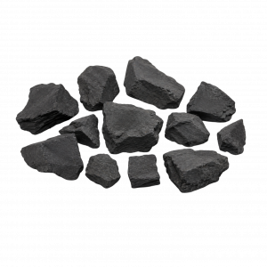 Shunguita carbonizada